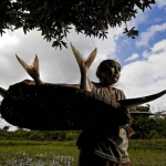 A woman with catfish for dinner. She says some days there are no fish to eat, which never happened 10 years ago.