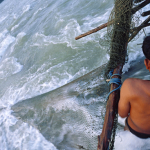A Lao fisherman checks his fishing net in the early morning of the dry season at Khone Sahong rapids.