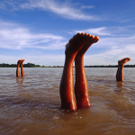 Young Lao men compete by standing on their heads in the water. The one who lasts longest wins all the fish the others catch that day.