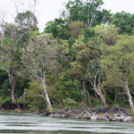 ป่าน้ำท่วมถึงเหนือเขื่อนวำบอ