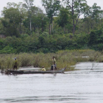 การหาปลาในน้ำโขงเหนือเขื่อนซำบอการหาปลาในแม่น้ำโขงของชาวบ้าน ในเขตอ.ซำบอ จ.กระเจ๊ะ โดยทั่วไปจะใช้เครื่องมือขนาดเล็กไม่สามารถจับปลาในแม่น้ำโขงที่ไหลแรงได้ ต้องอาศัยพื้นที่ที่มีกระแสน้ำสงบและเป็นที่อยู่อาศัยของปลา เป็นพื้นที่หาปลา ซึ่งมีลักษณะเป็น บุ่ง หรือตามวังน้ำที่มีเกาะหรือดอน เป็นต