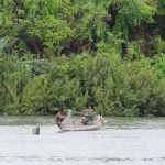 การหาปลาในน้ำโขงเหนือเขื่อนซำบอ