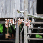 การตากปลาแห้งของชาวบ้านบนเกาะเหนือเขื่อนซำบอชาวบ้านบนเกาะสำพัน ใช้วิธีการตากปลาแห้ง เป็นวิธีการหนึ่งเพื่อเก็บรักษาปลาสำหรับการบริโภคในครอบครัว โดยเฉพาะในช่วงเวลาที่ไม่สามารถหาปลาได้หรือในช่วงฤดูการทำนา