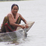 การจับปลาสะอีโดยใช้ตาข่ายปลาสะอี เป็นชนิดปลาที่สร้างรายได้ให้ชาวบ้านอย่างเป็นกอบเป็นกำในแต่ละปี ในฤดูแล้งปลาสะอีจะอาศัยอยู่ตามโขดหินและแก่งน้ำ ในแม่น้ำโขงเขตรอยต่อระหว่างจ.กระเจ๊ะกับจ.สตึงเตร็ง ประเทศกัมพูชา และจะเริ่มว่ายอพยพขึ้นเหนือไปจนถึงเขตสี่พันดอนของประเทศลาว การสร้างเขื่อ