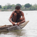 การจับปลาสะอีโดยใช้ตาข่าย