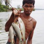 ปลาสะอี