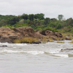 แก่งในน้ำโขงเหนือเขื่อนซำบอโขดหินและแก่ง เป็นระบบนิเวศที่สำคัญของแม่น้ำโขงในฤดูแล้ง ในพื้นที่แถบนี้ โดยเฉพาะเป็นกระบวนการเติมออกซิเจนให้น้ำโขงตามธรรมชาติ และจะเป็นถิ่นที่อาศัยของสัตว์น้ำบางชนิดในฤดูแล้ง ที่ไม่ชอบอาศัยตามวังน้ำลึกในแม่น้ำโขง การสร้างเขื่อนซำบอจะทำลายระบบนิเวศโขดหิน